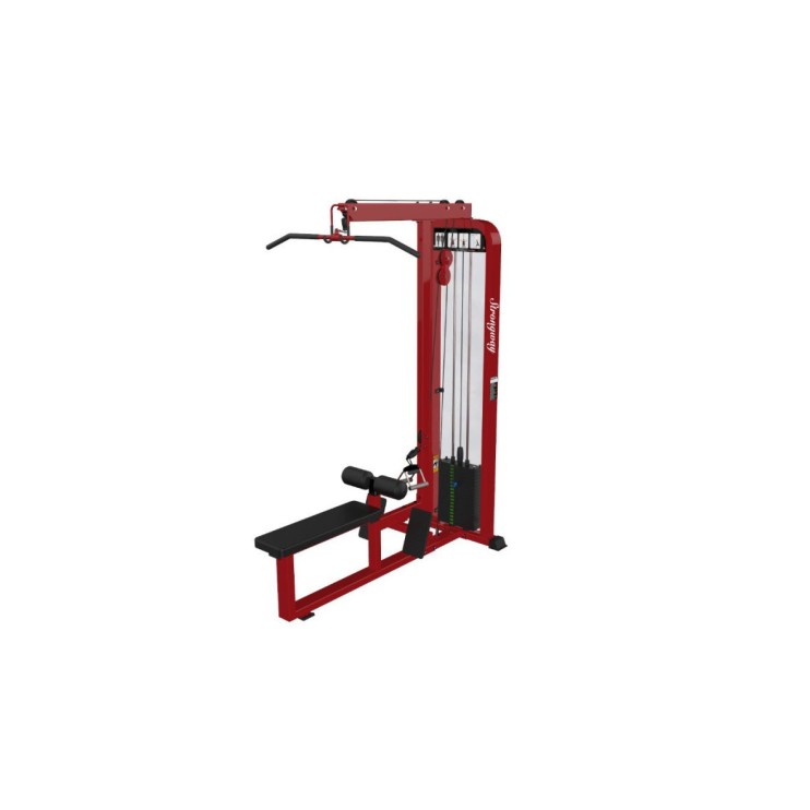 FF1-DS02A-Lat Pulldown & low row / Entrenador Combinado para Músculos de la Espalda y Dominadas